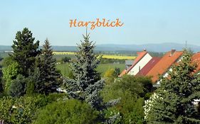 Ferienhaus Harzblick